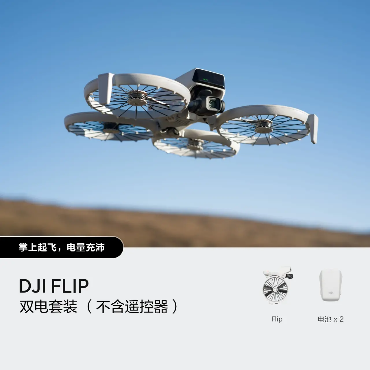 DJI Flip